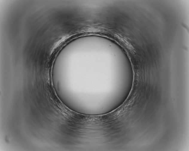 X0000096131262200802081317