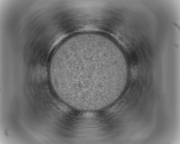 X0000096131266200802081317