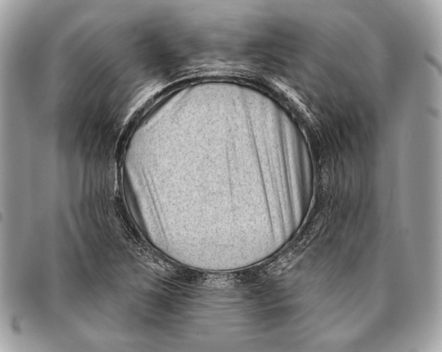 X0000096131267200802081317