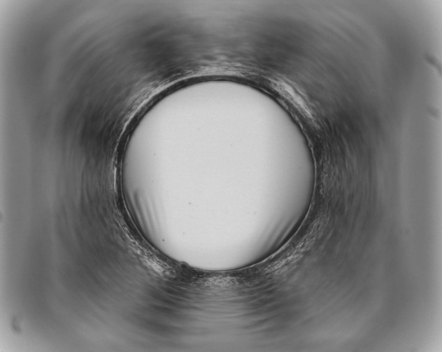 X0000096131268200802081317
