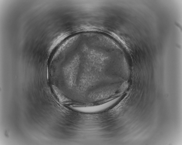 X0000096131269200802081317