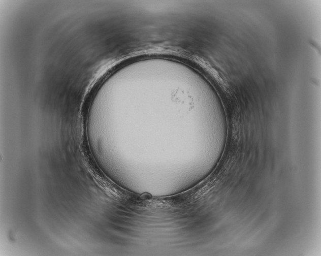 X0000096131270200802081317