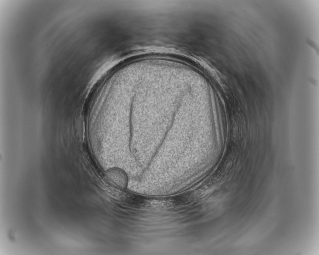 X0000096131271200802081317