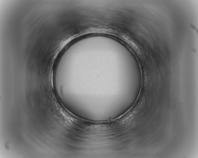 X0000096131272200802081317