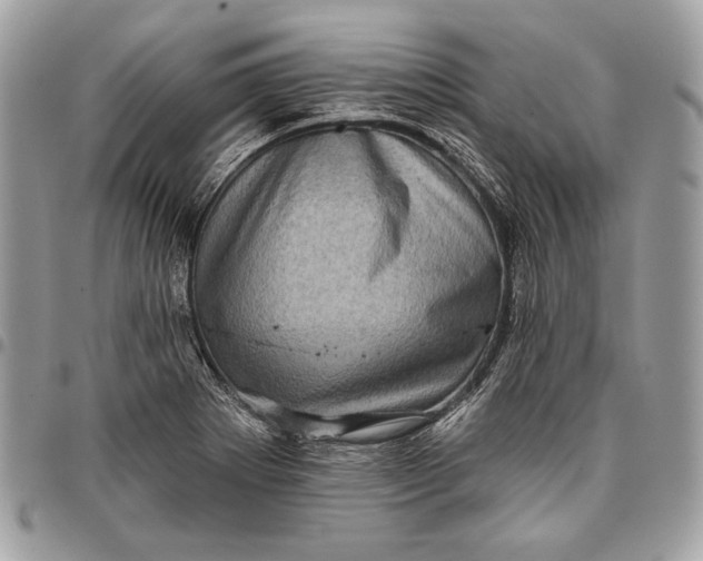 X0000096131273200802081317