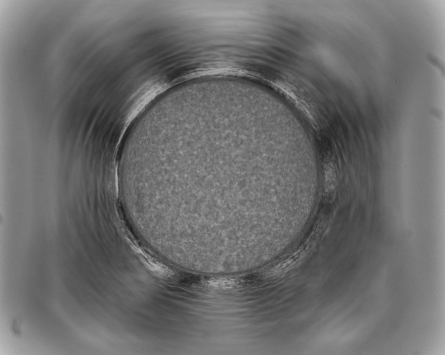 X0000096131274200802081317