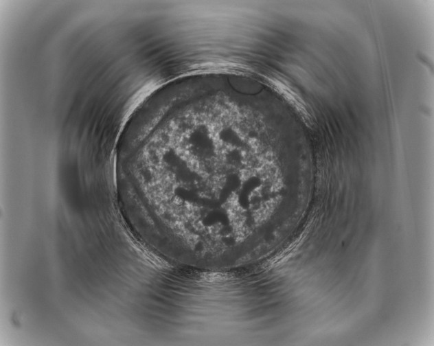 X0000096131275200802081317