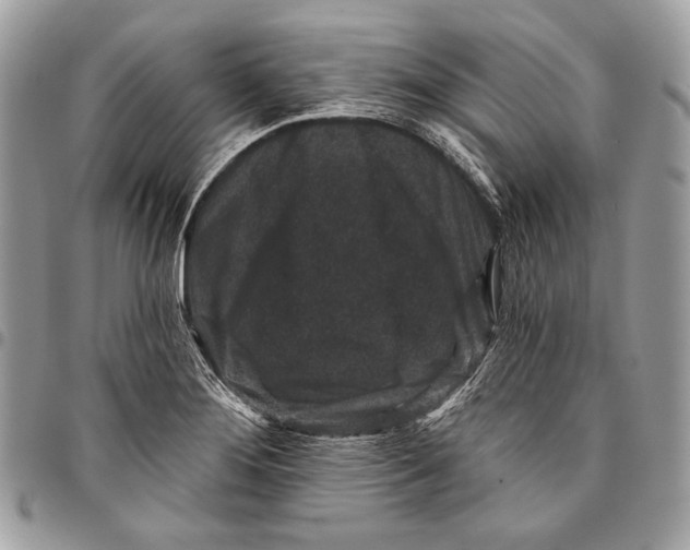 X0000096131276200802081317