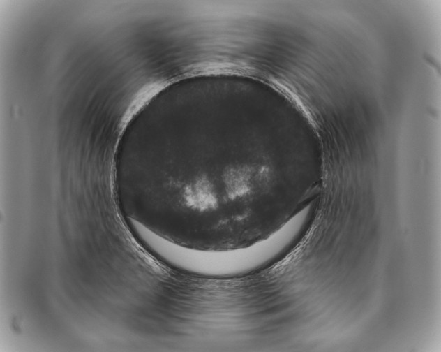 X0000096131277200802081317