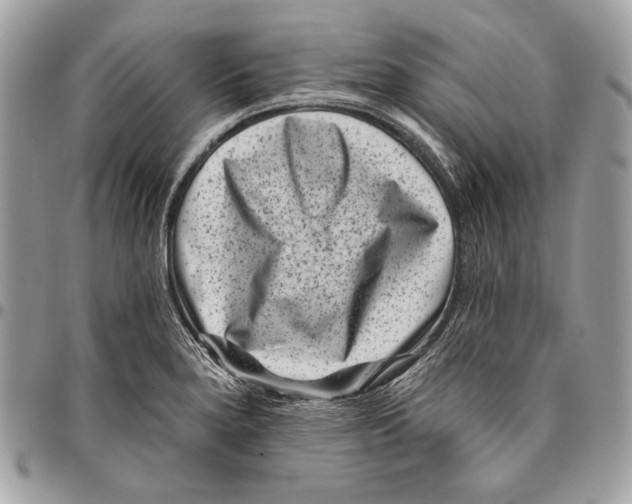 X0000096131280200802081317