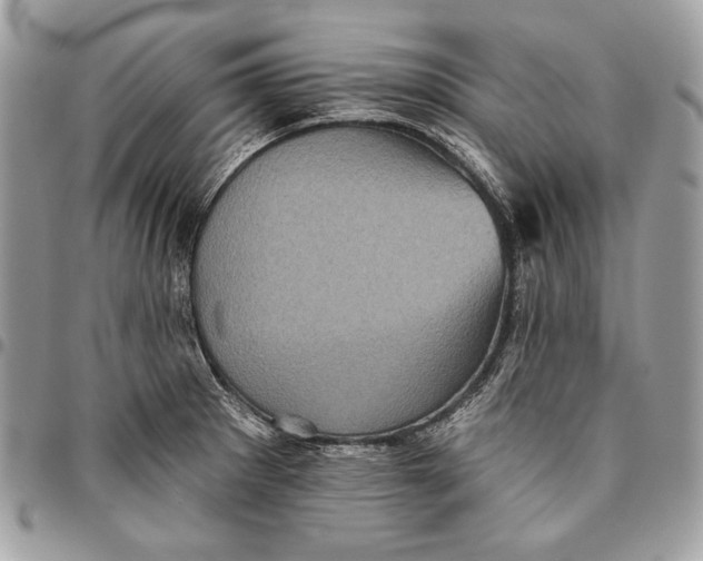 X0000096131281200802081317