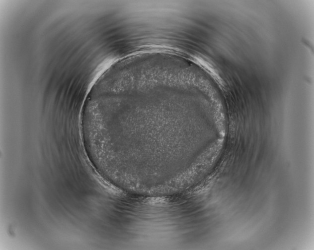 X0000096131283200802081317