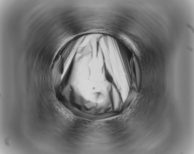 X0000096131284200802081317