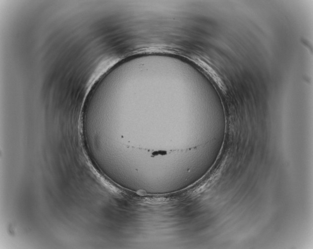 X0000096131285200802081317
