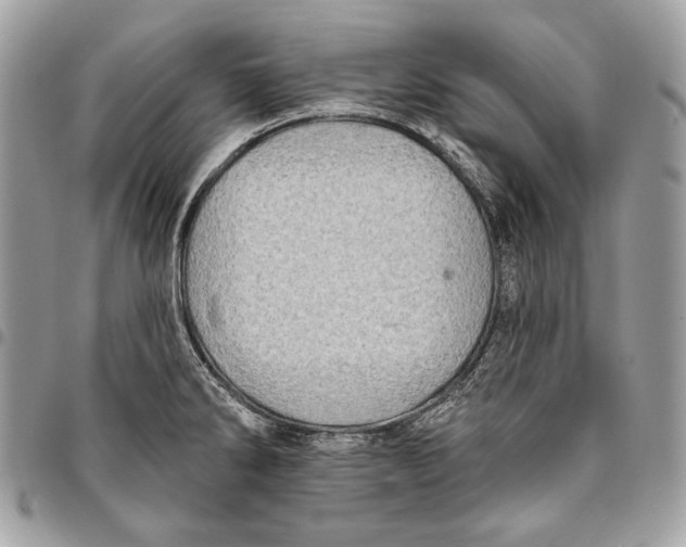 X0000096131286200802081317