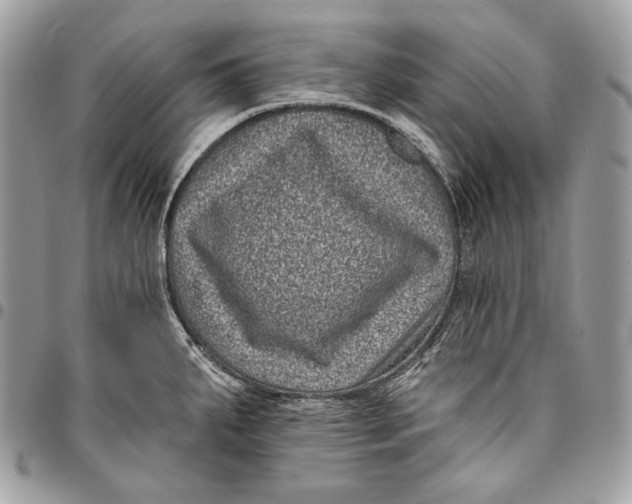 X0000096131287200802081317