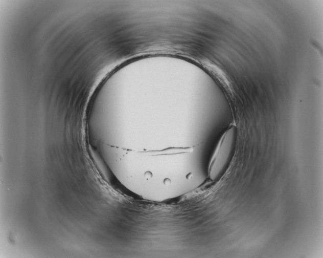 X0000096131288200802081317