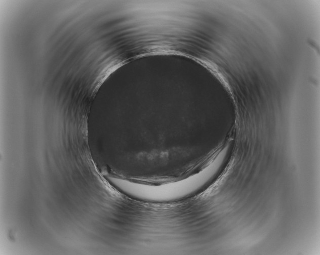 X0000096131289200802081317