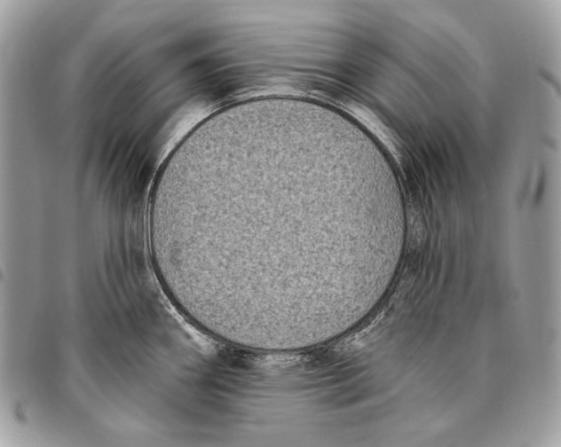 X0000096131290200802081317