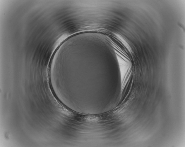 X0000096131291200802081317
