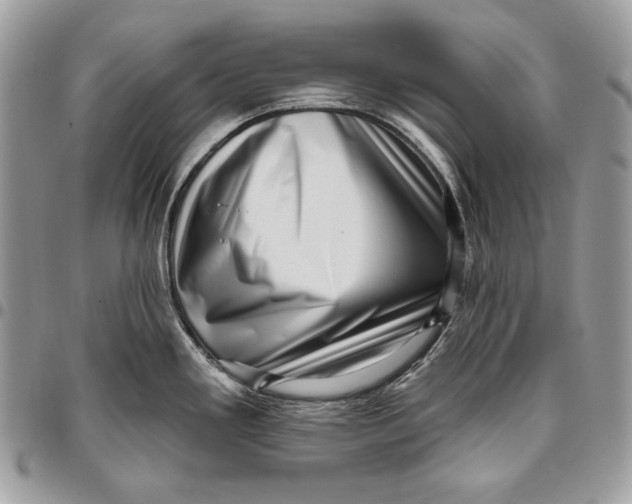 X0000096131293200802081317