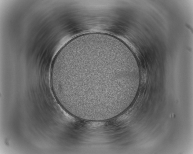 X0000096131294200802081317