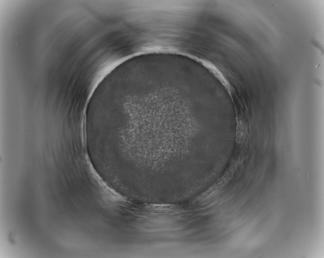 X0000096131295200802081317