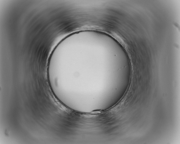 X0000096131296200802081317