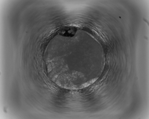 X0000096131297200802081316
