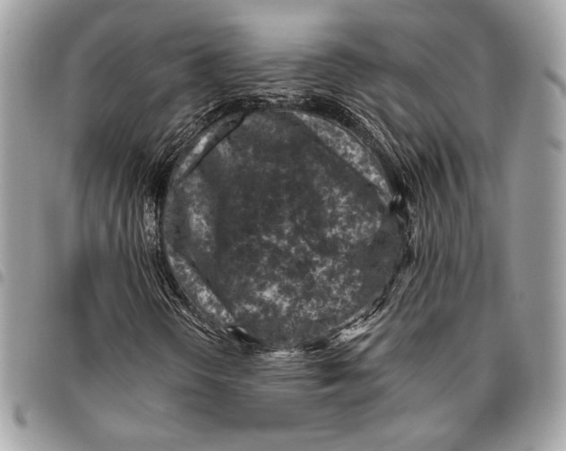 X0000096131298200802081316