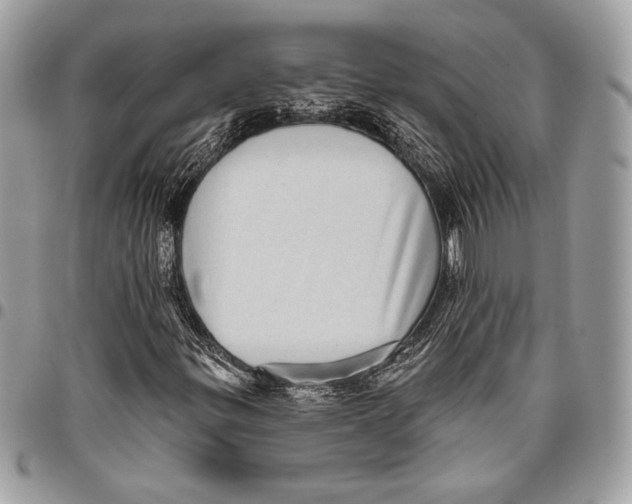 X0000096131299200802081316