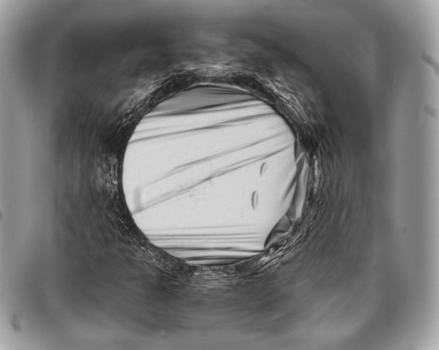 X0000096131301200802081316