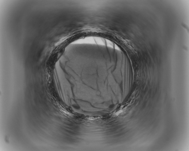 X0000096131303200802081316