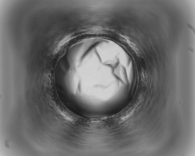 X0000096131304200802081316