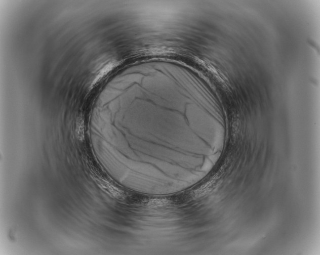 X0000096131306200802081316