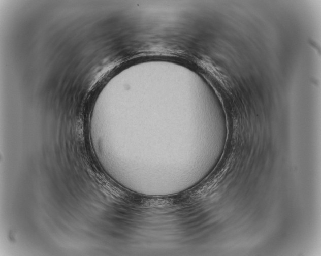 X0000096131307200802081316