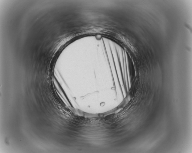 X0000096131308200802081316