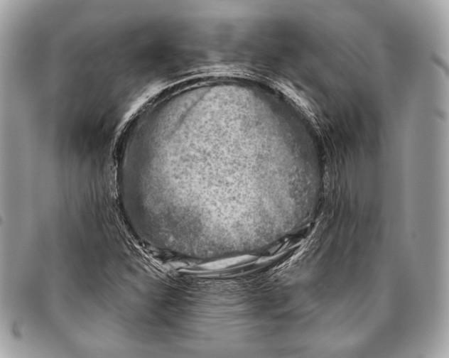 X0000096131310200802081316
