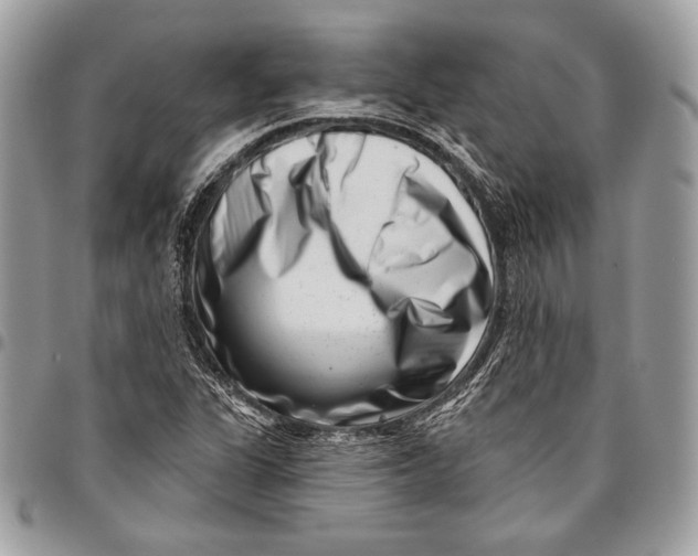 X0000096131311200802081316