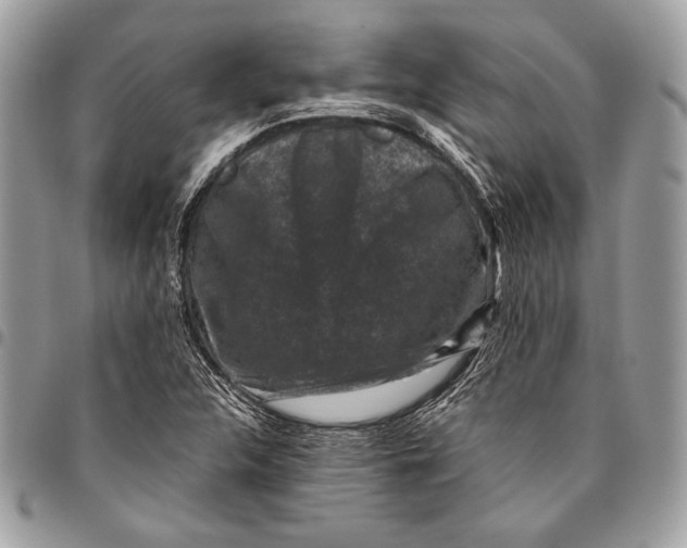 X0000096131312200802081316