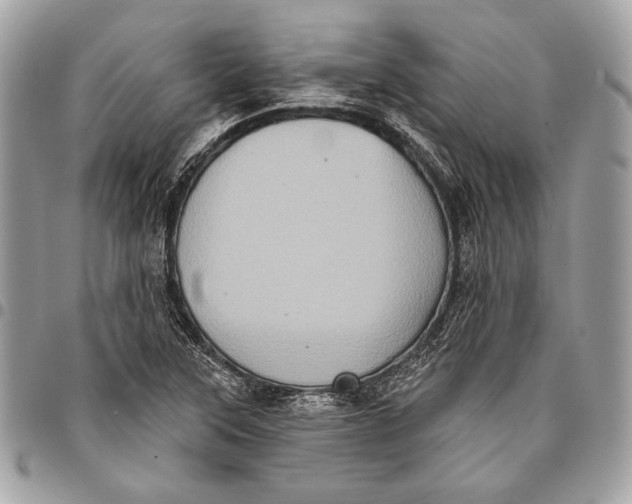 X0000096131315200802081316