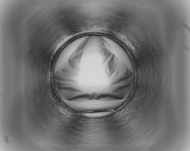 X0000096131316200802081316