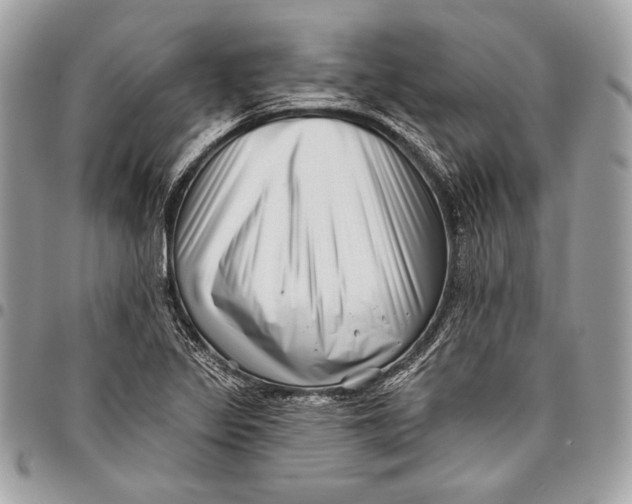 X0000096131317200802081316