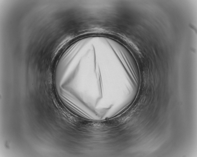 X0000096131318200802081316
