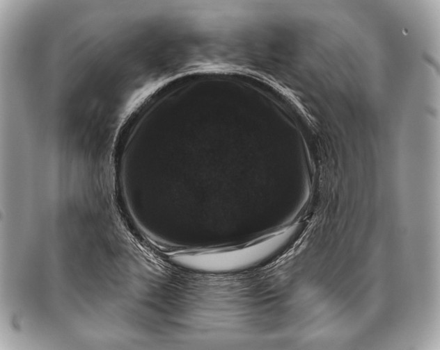 X0000096131319200802081316