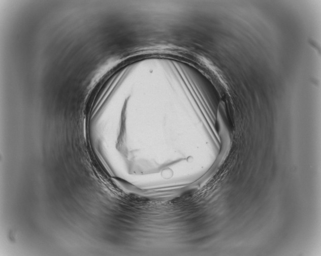 X0000096131320200802081316