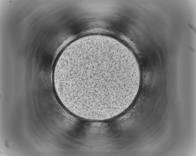X0000096131322200802081316