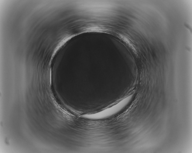 X0000096131323200802081316