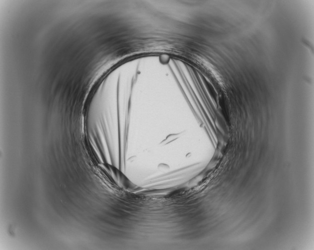 X0000096131324200802081316