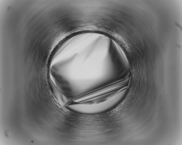 X0000096131326200802081316